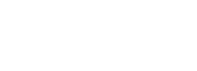 YES — логотип